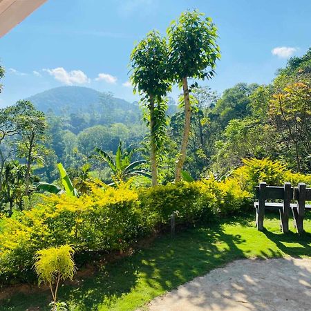 Ella Willow Cottage Luaran gambar
