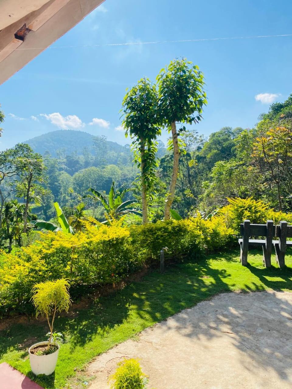 Ella Willow Cottage Bilik gambar