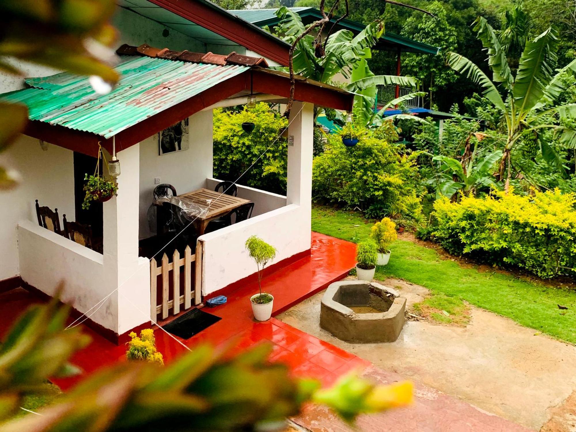 Ella Willow Cottage Luaran gambar